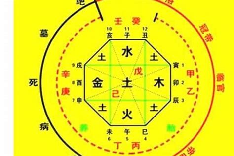 測八字五行|生辰八字算命、五行喜用神查询（免费测算）